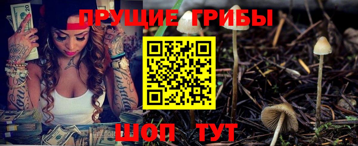 Галлюциногенные грибы Psilocybine cubensis  закладки  Белово  Вход с VPN 