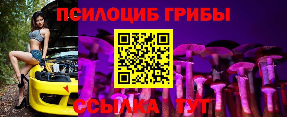 Галлюциногенные грибы Psilocybe Белово